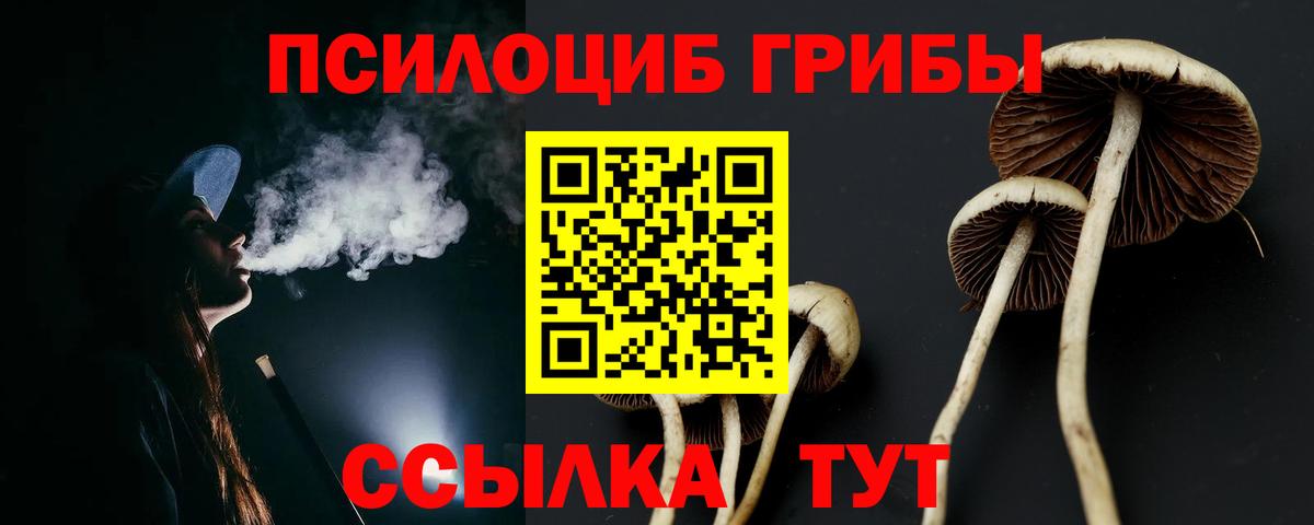 Галлюциногенные грибы Cubensis  Псилоцибиновые грибы мицелий  Вход с VPN  Азов 